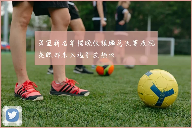 男篮新名单揭晓张镇麟总决赛表现亮眼却未入选引发热议